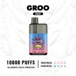 GROO MAX - BLUEBERRY PEACH SMOOTHIE