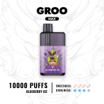 GROO MAX - BLUEBERRY ICE