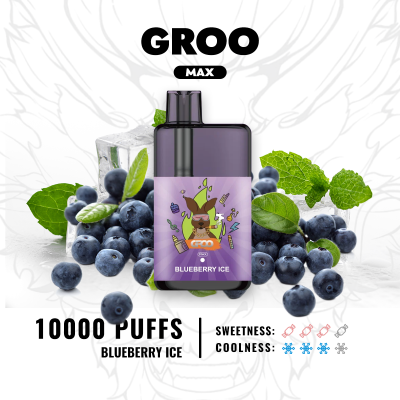 Groo Max BLUEBERRY ICE