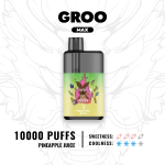 GROO MAX - PINEAPPLE JUICE